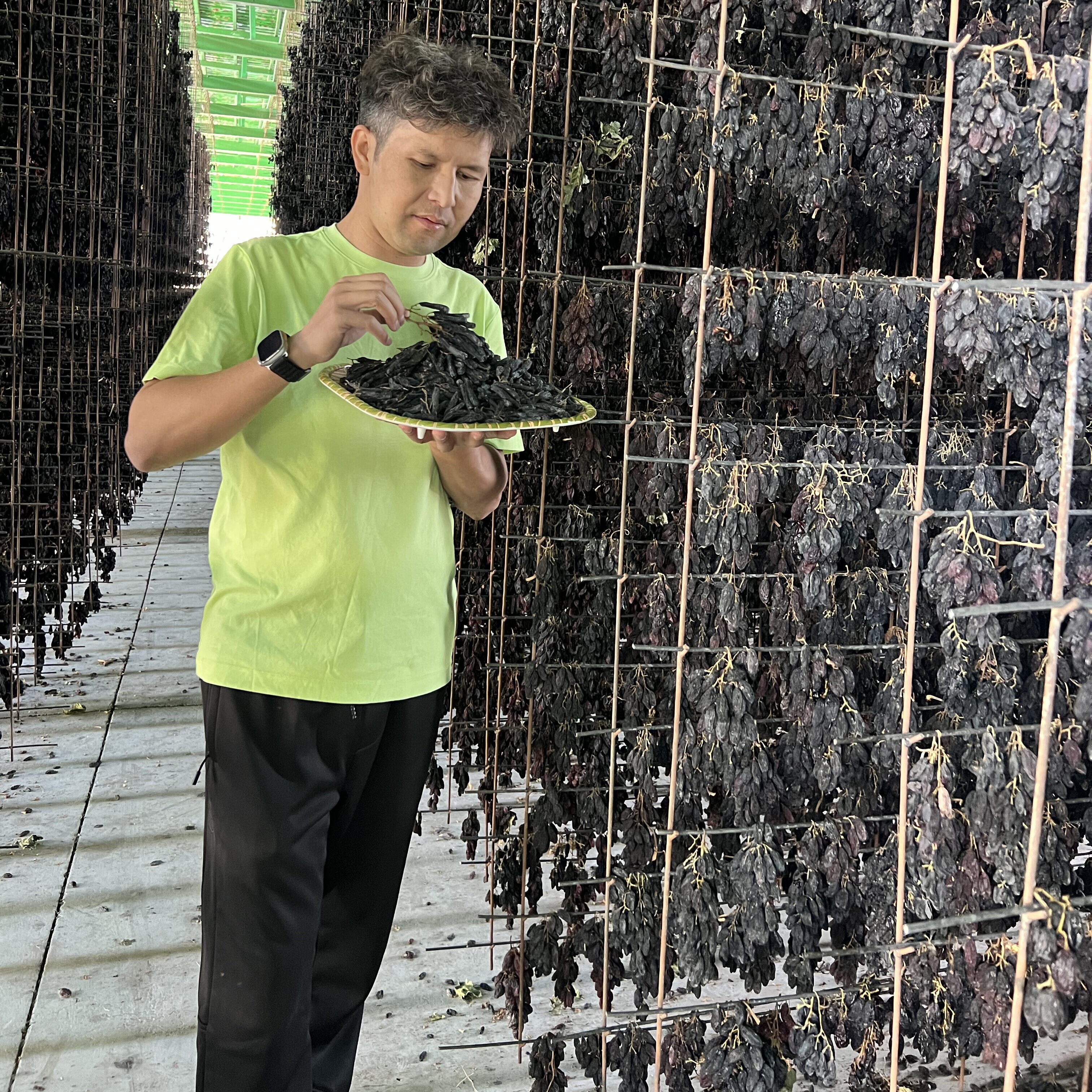 【五种葡萄干】新疆吐鲁番大颗粒葡萄干组合装250g/罐＊5