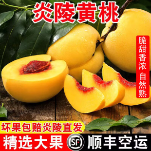 正宗湖南炎陵黄桃现摘现发新鲜水果高山锦绣红心桃子10斤顺丰包邮