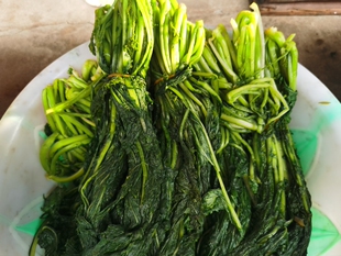 南通海门农家青盐齑雪菜雪里红雪里蕻新鲜绿青色咸菜腌菜包邮