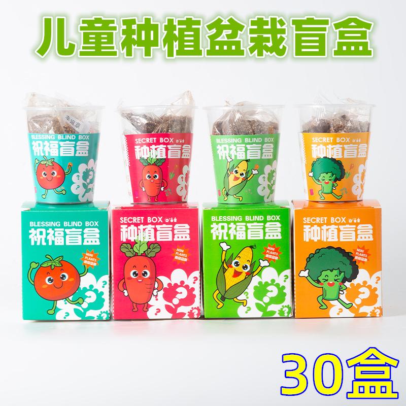 小学生盲盒创意种植盆栽小奖品