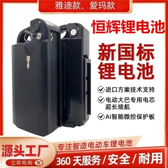 48V20AH锂电池12ah电动车