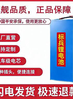 电动锂车电池48v24v锂电池36v大容量20ah锂电池自行车锂电池48v