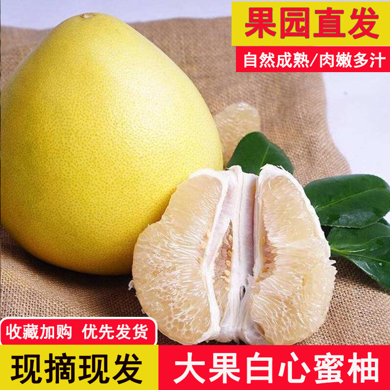 现货白肉蜜柚子糖心当季白心柚