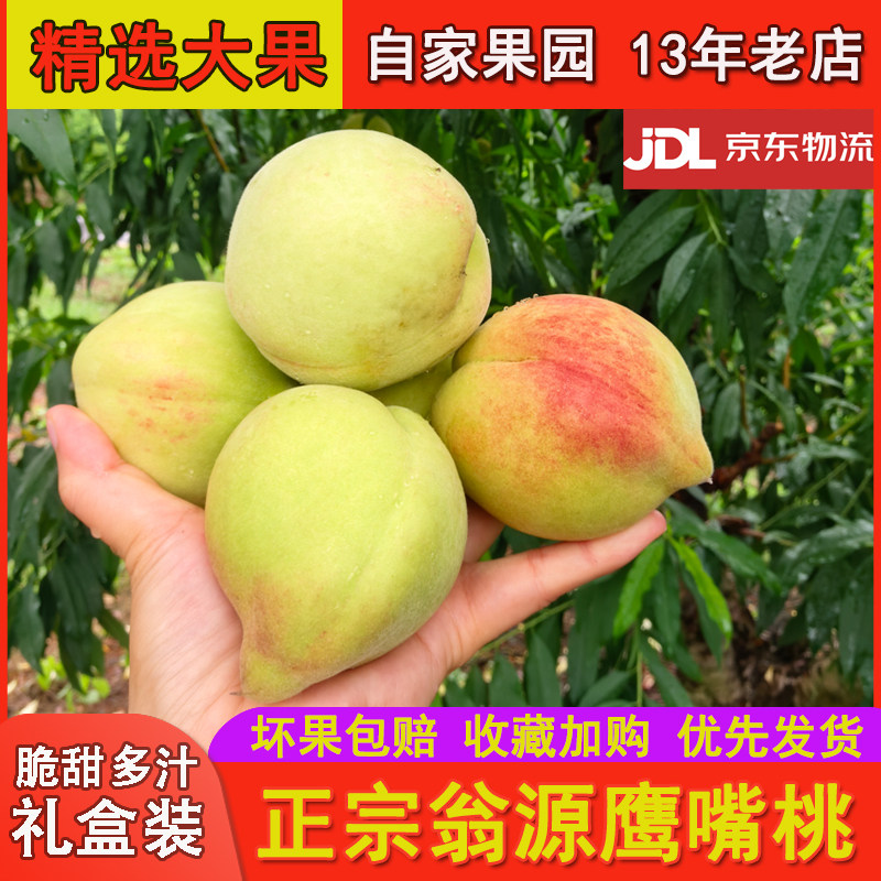精选大果翁源鹰嘴桃子爽脆甜包邮