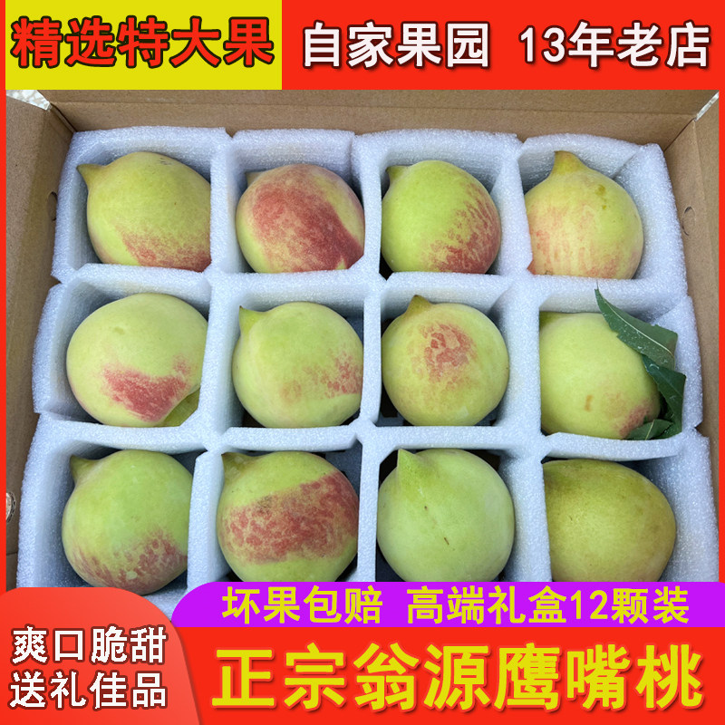 12个高端礼盒正宗翁源鹰嘴桃特大