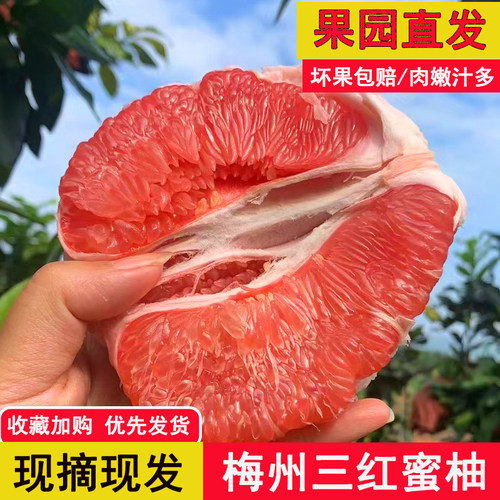 正宗梅州红心蜜柚新鲜三红蜜柚子