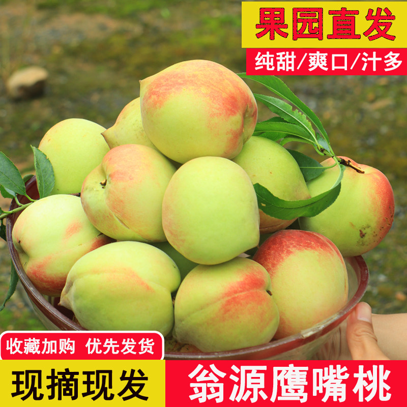 正宗翁源鹰嘴桃子精选大果脆甜桃