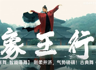 象王行舞蹈服装 霸气演出服女成人酷飒古典舞蹈表演服 中国舞新中式