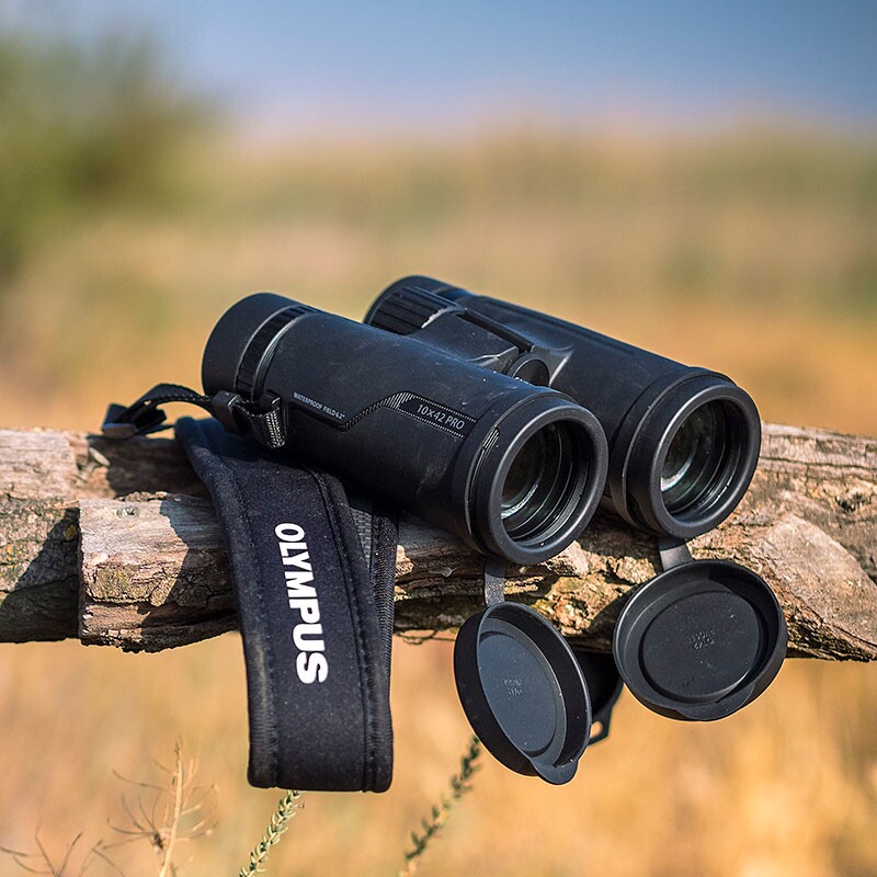 日本代购 OLYMPUS 奥林巴斯 8x42 10x42 PRO 防水双筒望远镜