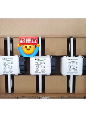 快速熔断器保险丝 170M4660 170M4661 170咨询维修咨询维修