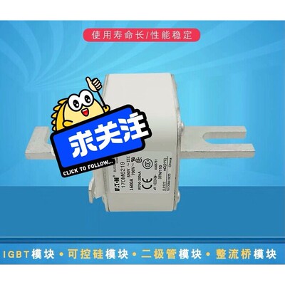 快速熔断器保险170M6219 170M6220 170M6咨询维修