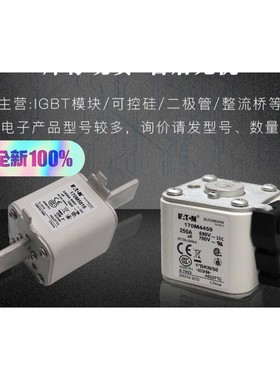 熔断器保险丝170M5966 170M5967 170M59咨询维修咨询维修