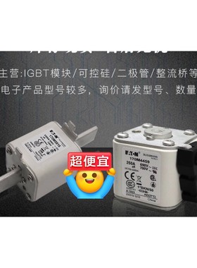 熔断器保险管170M5308 170M5309 170M53咨询维修咨询维修