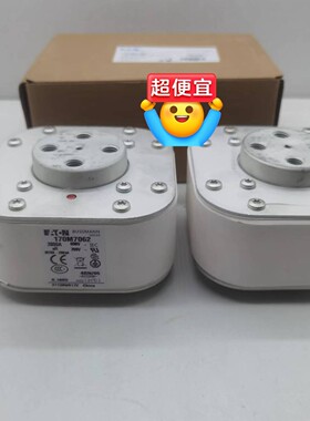 熔断器保险管保险丝170M7184 170M7185 170咨询维修咨询维修