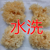 神农架野生椴木银耳白木耳雪耳农家水洗银耳胜通江银耳100g