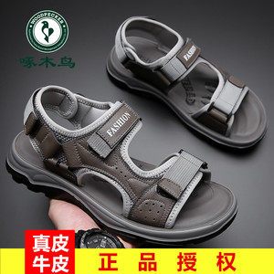 啄木鸟夏季新款乳胶软底凉鞋男真皮外穿开车休闲越南防滑沙滩鞋男