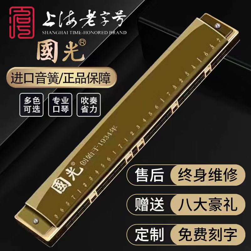 上海国光口琴高档音簧成人28孔复音重音初学者进阶高端专业演奏级