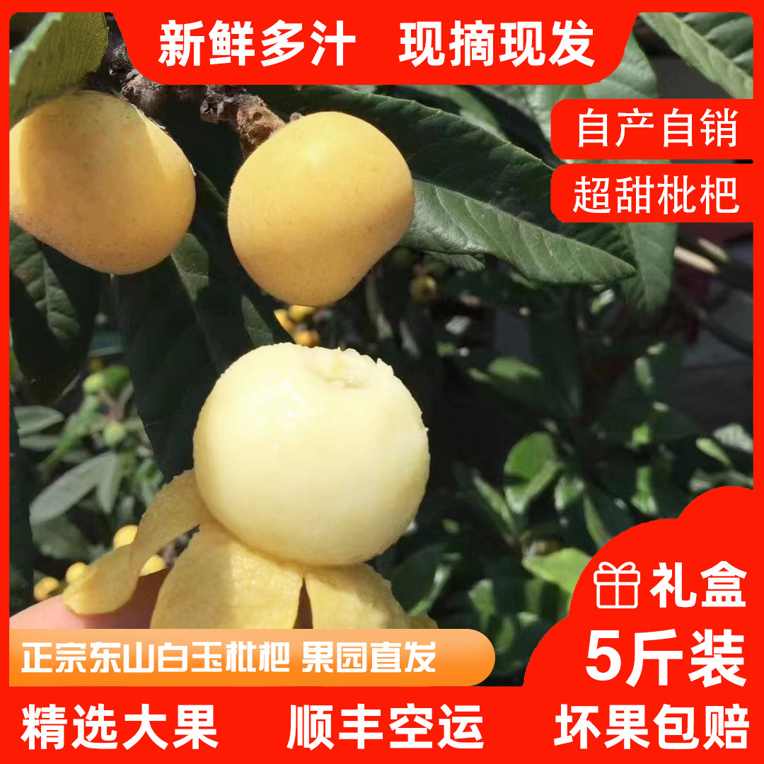 超甜好吃的正宗苏州东山白玉枇杷鲜嫩多汁皮薄肉多