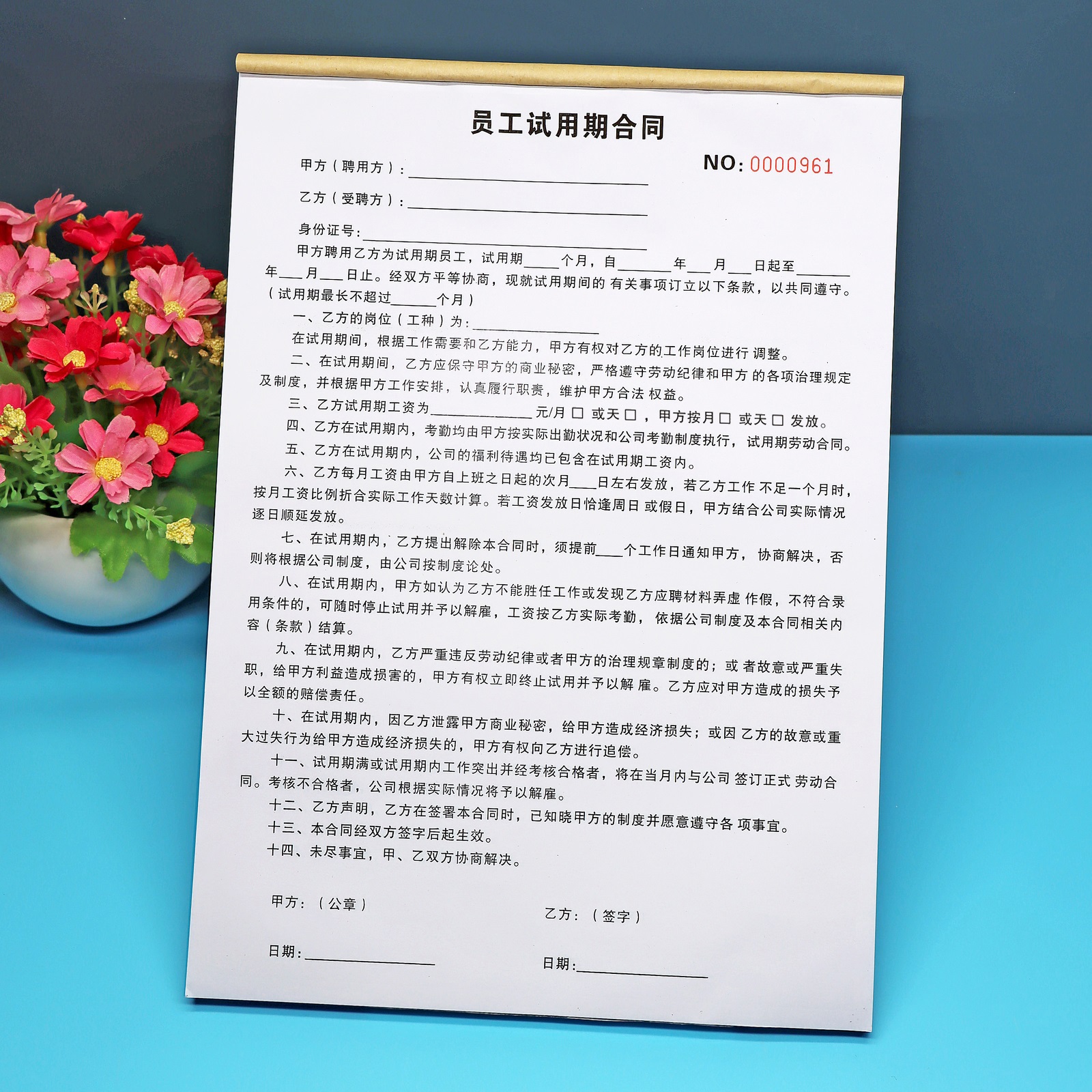 公司新员工试用期劳动合同协议书