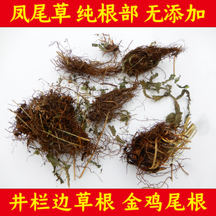 山村小叶 凤尾草根 鸡脚草根 金鸡尾根 凤凰草根 井栏草根 鸡爪草