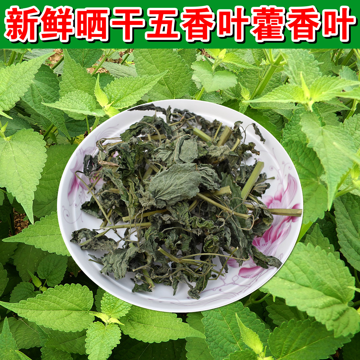 五香叶 藿香菜 藿香叶鱼香叶干五香杆炖鱼虾海鲜去腥佐料大茴香拌