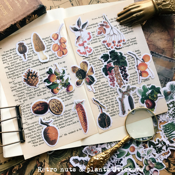 欧美风vintage 手帐素材复古坚果果实植物图鉴54枚tn硫酸纸贴纸