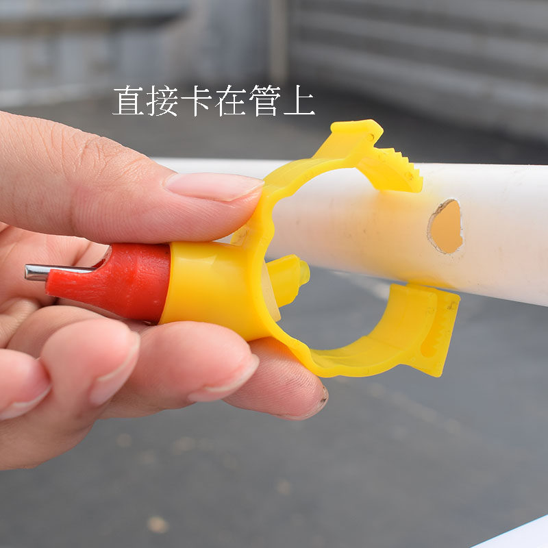 鸭子饮水器鹅饮水器鸭子自动饮水器鸡鸭鹅自动喂水器鸡鸭自动喝水