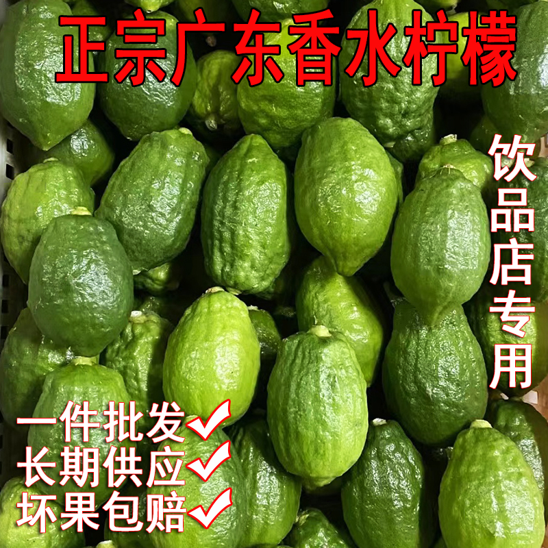 广东香水柠檬15斤无籽新鲜饮品奶茶店专用一级手打青柠檬商用水果