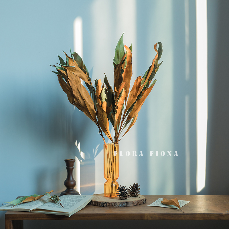 北美洲进口日式软装搭配双面干花