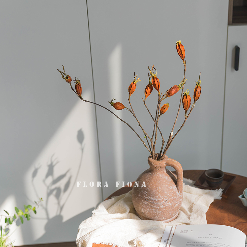 乡村田园风天然植物风干花软装复古干树枝拍摄道具橘红色栀子花果,家居饰品,干花/花瓣/干花包/干树枝,淘宝优惠券,粉丝福利购,淘宝优惠卷