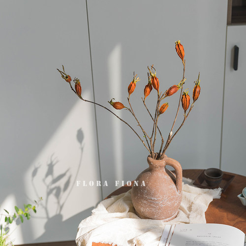 菲奥纳植物志天然干树枝家居摆设