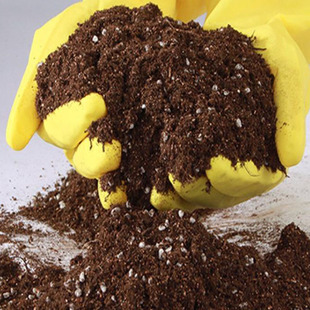 营养土 绿萝多肉植物专用营养土泥炭土 花卉蔬菜草莓苗专用营养土