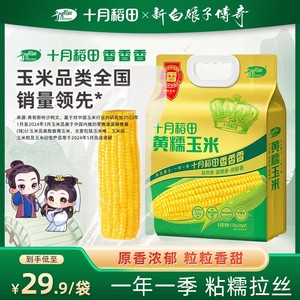 十月稻田黄糯白糯玉米