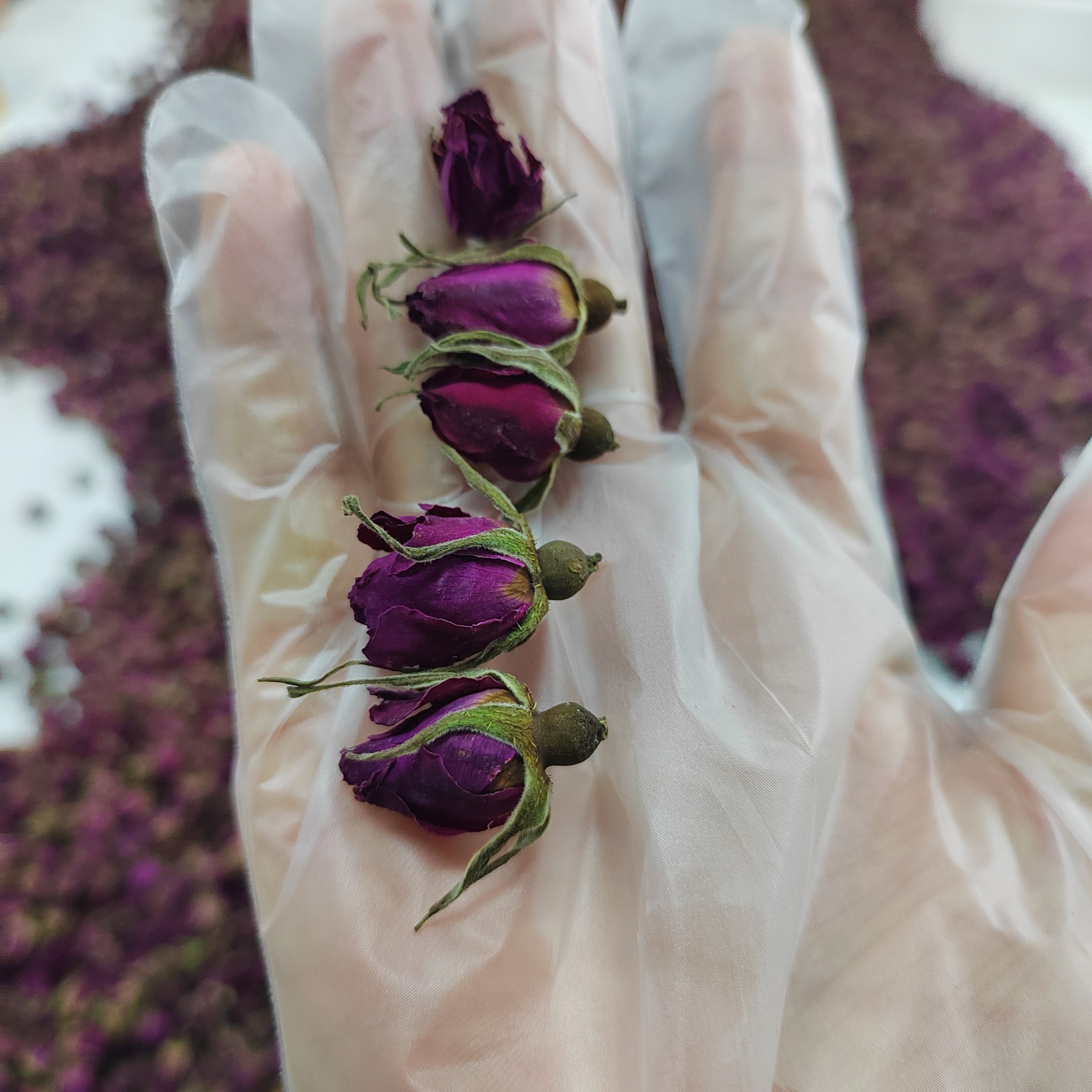 26平阴玫瑰重瓣红玫瑰干花玫瑰花茶玫瑰食用姜小玫花茶花蕾冲泡