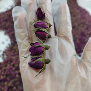 玫瑰花平阴玫瑰花蕾茶姜小玫