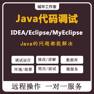 Java代码调试bug修改找错微服务项目运行部署编写简历定制讲解