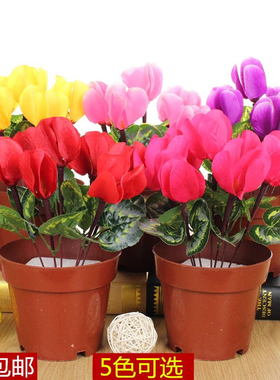 仿真仙客来盆景假花庆典阳台客厅电视柜装饰室内盆花摆设卧室摆放