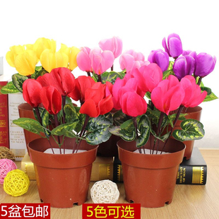 仿真仙客来盆景假花庆典阳台客厅电视柜装饰室内盆花摆设卧室摆放