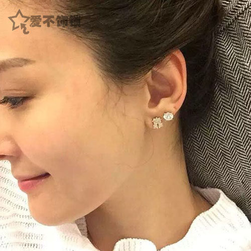 原创设计耳钉女生百搭 孙芸芸经典废话耳钉中文爽靠字耳环 包邮