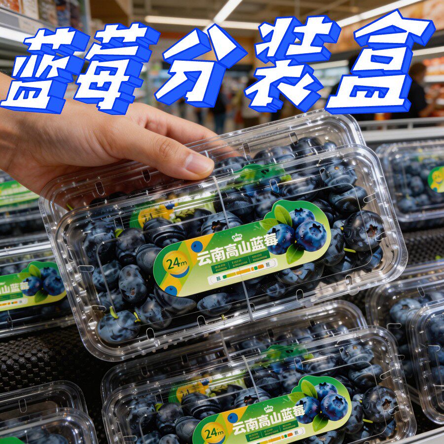 125g蓝莓包装盒一次性透明塑料分装盒250g500g一斤装水果保鲜盒商