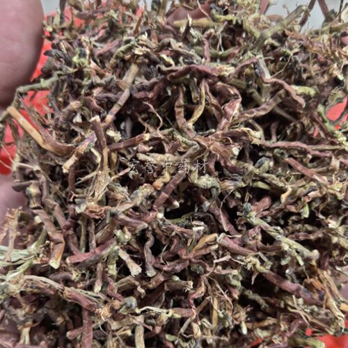 野生甜凉草茶500g包邮巴马茶