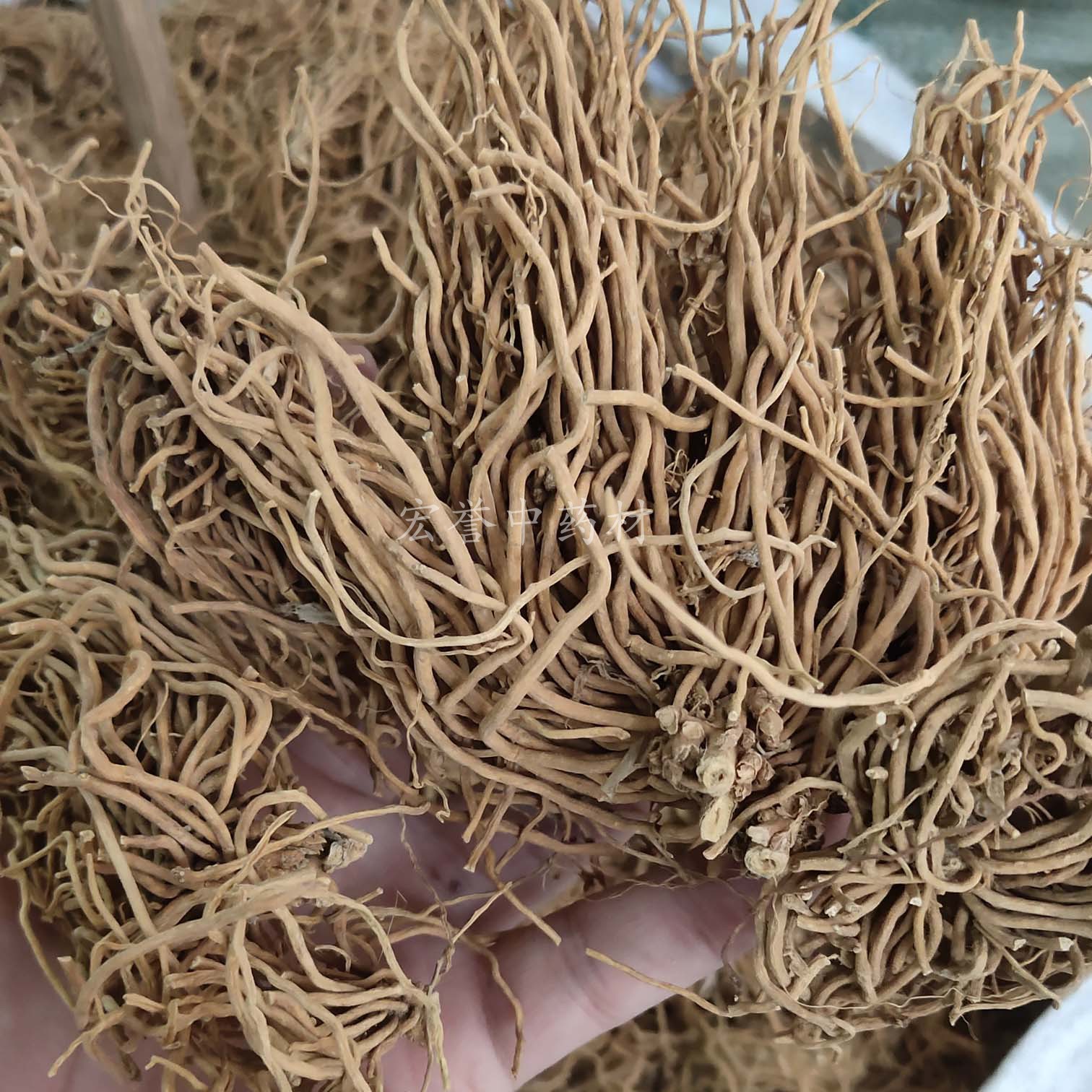 野生药材干品白薇 白薇根 500克包邮瓜瓢根 山烟根子百荡草老君须