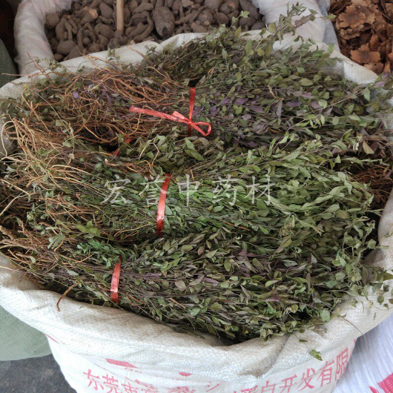 瓜子金 神砂草小远志草 大金不换 紫背金牛 回春草 500克包邮