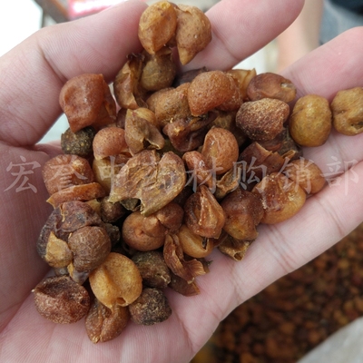 山黄皮 黄皮果 黄皮果干 黄皮酱 广西鸡皮果去籽无核山黄皮干一斤