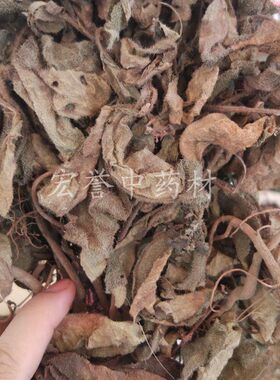 虎舌红2斤包邮红地毯红毛毡