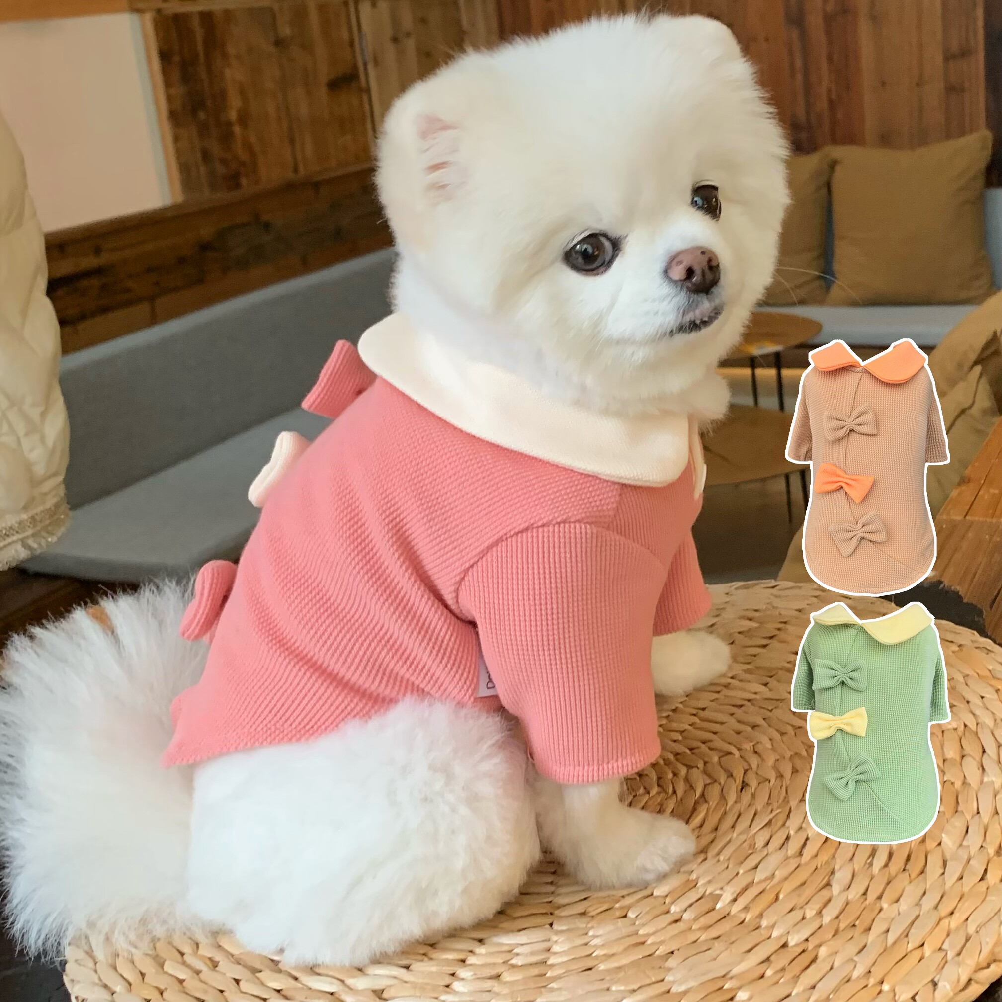 豆豆与姐姐狗狗春秋两脚蝴蝶结衣服博美比熊泰迪中小型犬打底衫