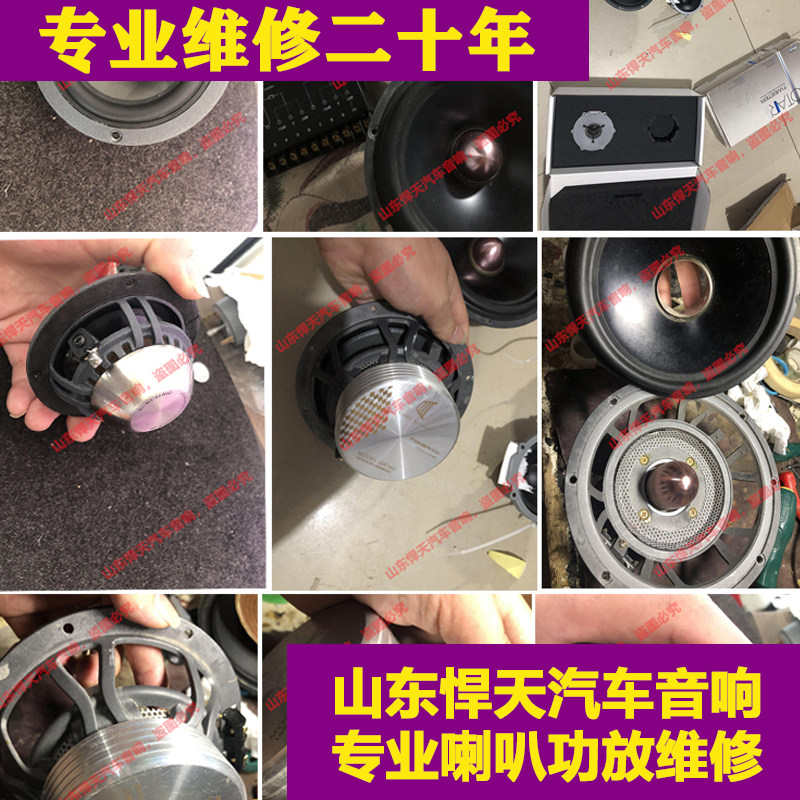专业维修德国黄金声学喇叭维修保养不响换边杂音烧音圈磁铁移位