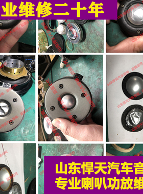 专业维修英国宝华喇叭维修保养不响换喇叭边杂音烧音圈磁铁移位