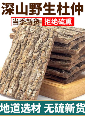 深山野生老树杜仲中药材煲汤泡酒