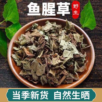 现挖广东鱼腥草干货叶子新鲜折耳根当季节节根叶凉拌蔬菜嫩叶茎叶